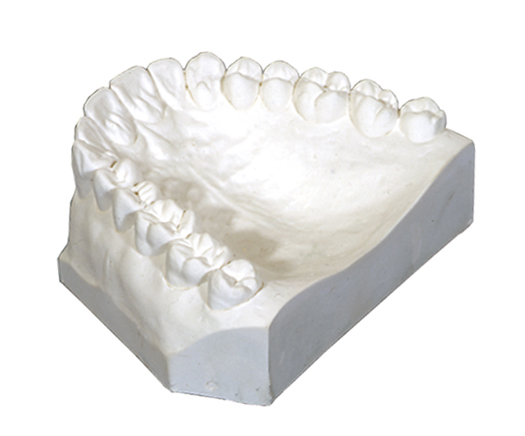 Ortho Plaster