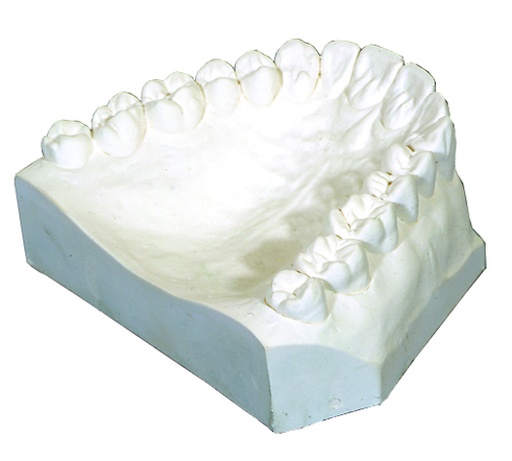 Ortho Stone